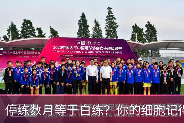 停练数月等于白练？你的细胞记得每一次流汗