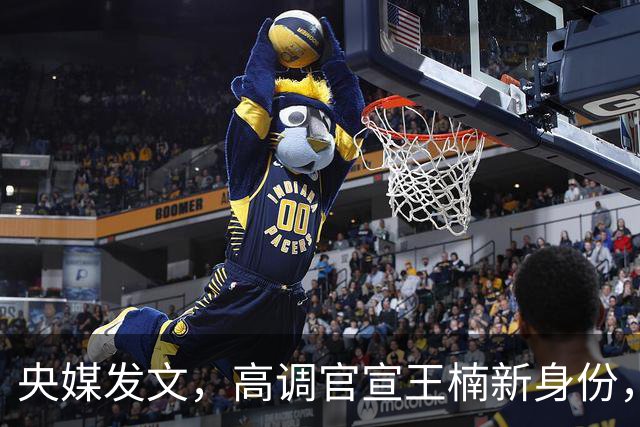 央媒发文，高调官宣王楠新身份，资产查封被带走调查早就真相大白