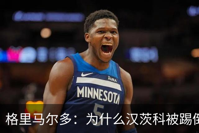 格里马尔多：为什么汉茨科被踢倒但VAR没介入？我们需要一个解释