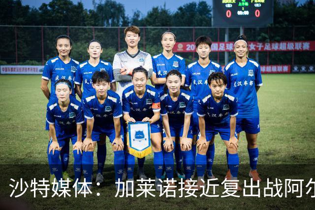 沙特媒体：加莱诺接近复出战阿尔沙巴布