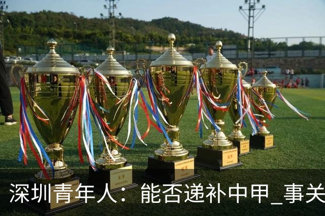 深圳青年人：能否递补中甲 事关财路！两套方案应对
