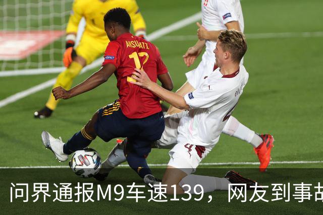 问界通报M9车速139，网友到事故现场围观：信号灯仅柱子微脏