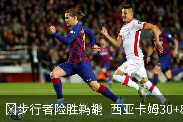 🏀步行者险胜鹈鹕 西亚卡姆30+8 哈利回归23+12 锡安22分