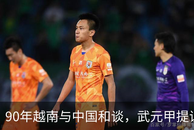 90年越南与中国和谈，武元甲提议见杨得志，杨：我不可能见他！